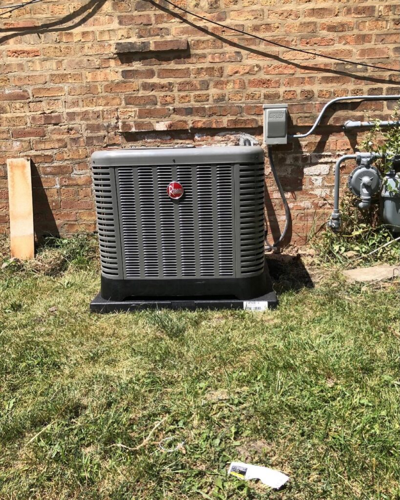 205039687_367696621356356_9032295917436243254_n